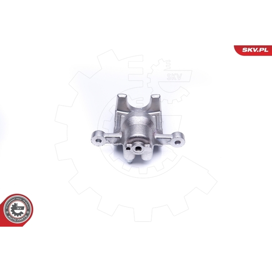 45SKV193 - Brake Caliper 