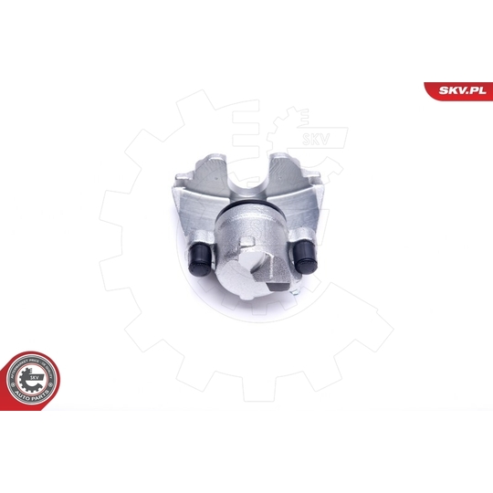 44SKV641 - Brake Caliper 