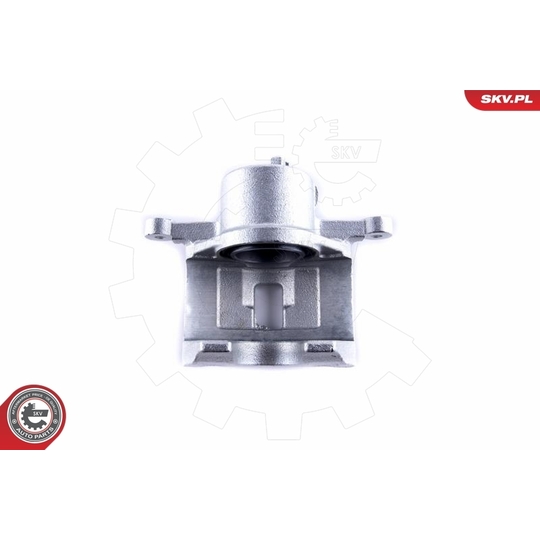 55SKV112 - Brake Caliper 