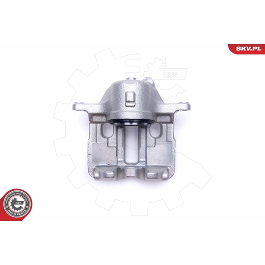 55SKV642 - Brake Caliper 