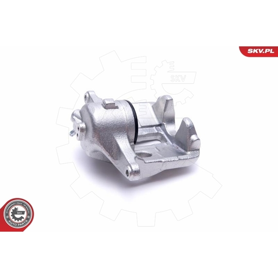 55SKV642 - Brake Caliper 