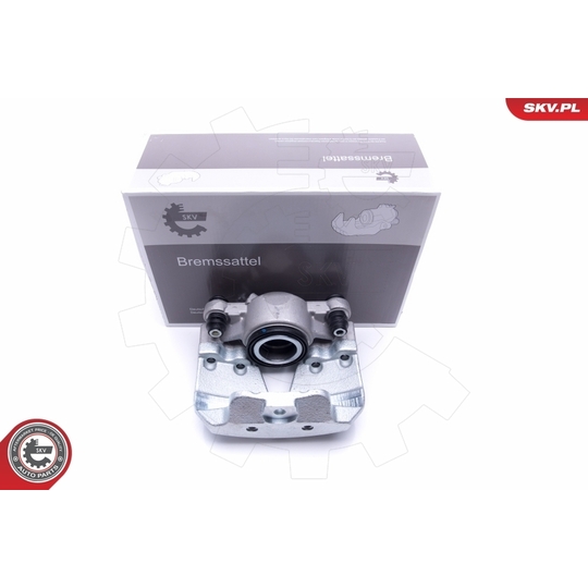 46SKV252 - Brake Caliper 