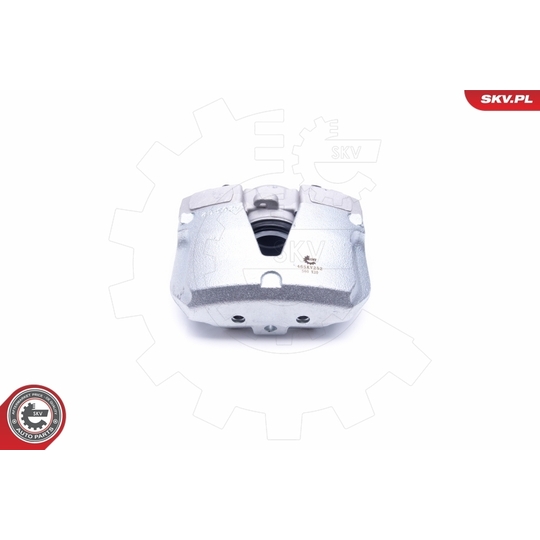 46SKV252 - Brake Caliper 