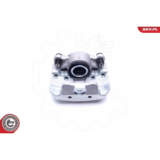 46SKV252 - Brake Caliper 