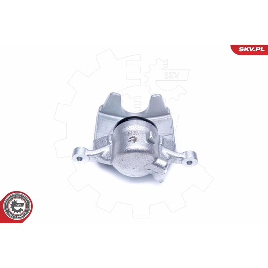 44SKV581 - Brake Caliper 