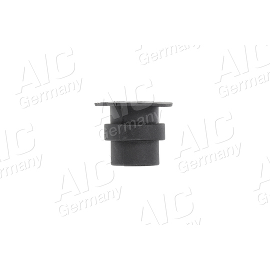 50076 - Sealing Plug, coolant flange 