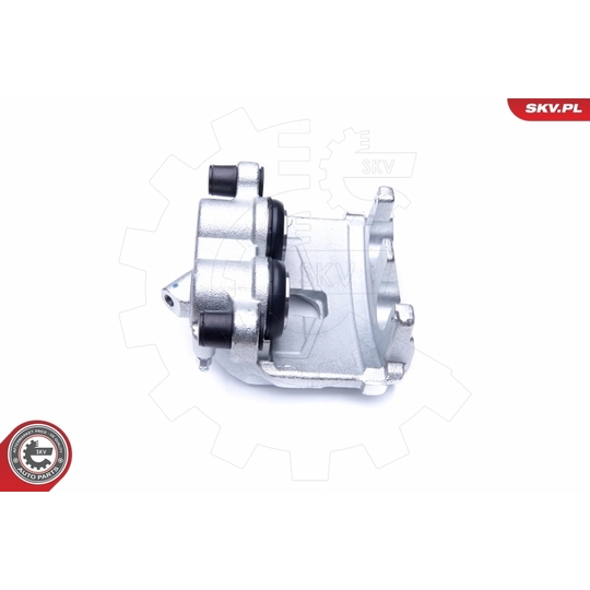 45SKV021 - Brake Caliper 