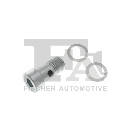 989-14-002.021 - Hollow Screw, charger 