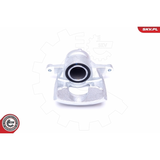 44SKV002 - Brake Caliper 