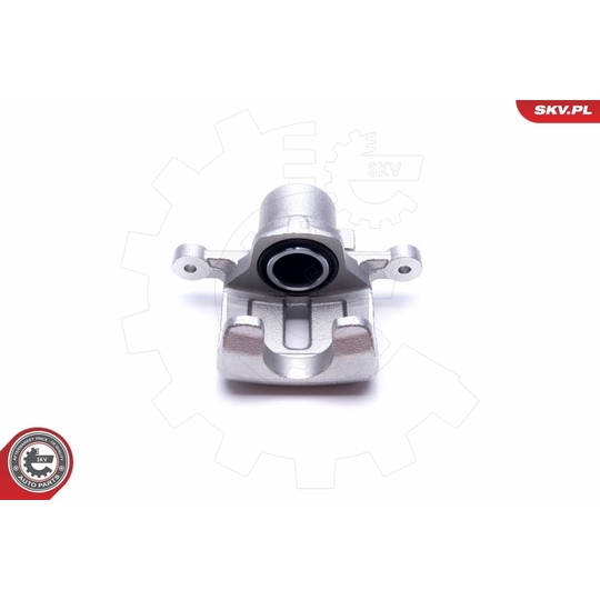 55SKV803 - Brake Caliper 