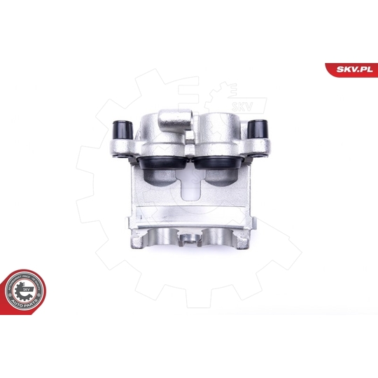 44SKV491 - Brake Caliper 