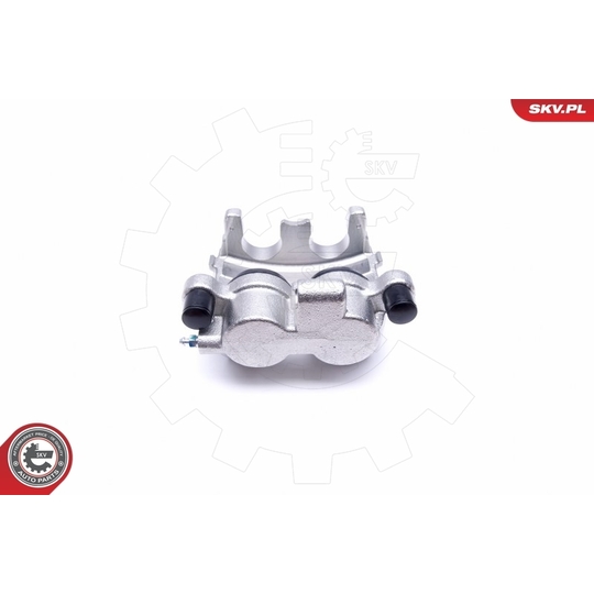 44SKV491 - Brake Caliper 