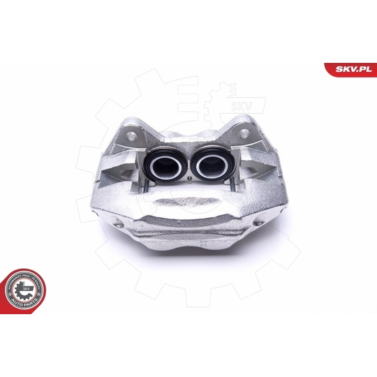 46SKV732 - Brake Caliper 