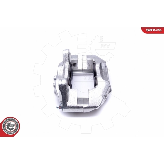 46SKV732 - Brake Caliper 