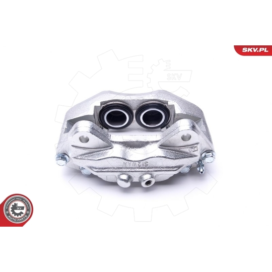 46SKV732 - Brake Caliper 