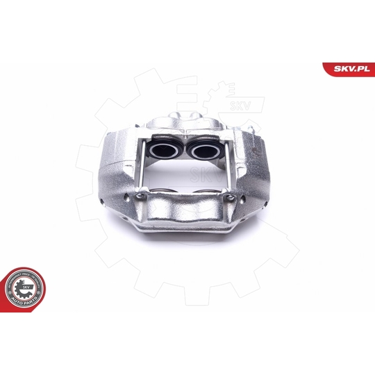 46SKV732 - Brake Caliper 