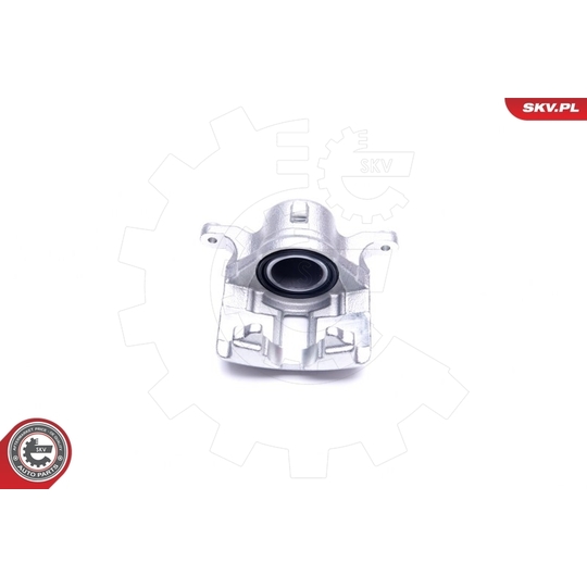 44SKV972 - Brake Caliper 