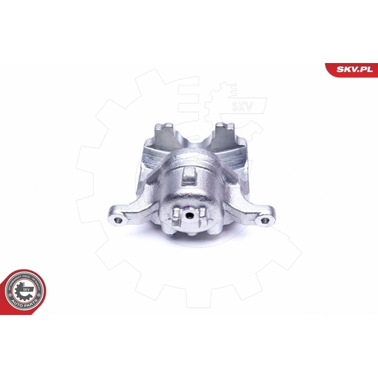 44SKV972 - Brake Caliper 