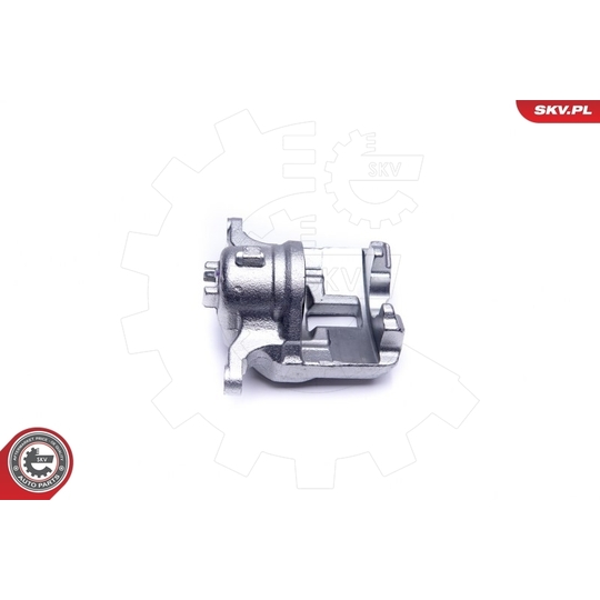 44SKV972 - Brake Caliper 