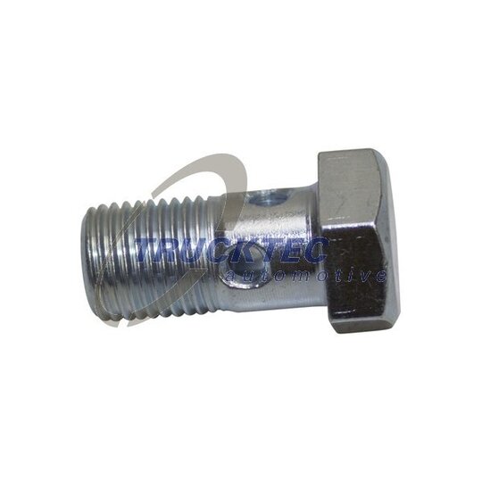 79.10.001 - Hollow Screw 