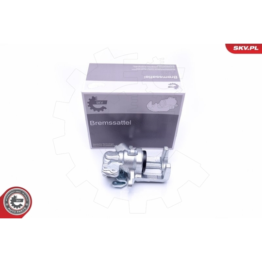 42SKV213 - Brake Caliper 