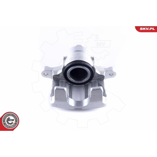 55SKV142 - Brake Caliper 