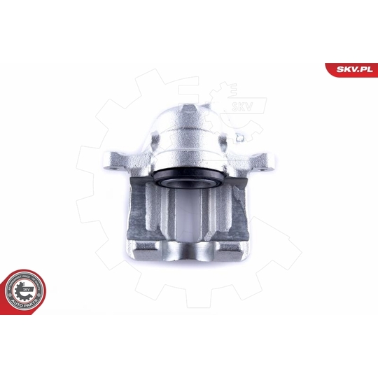 55SKV142 - Brake Caliper 