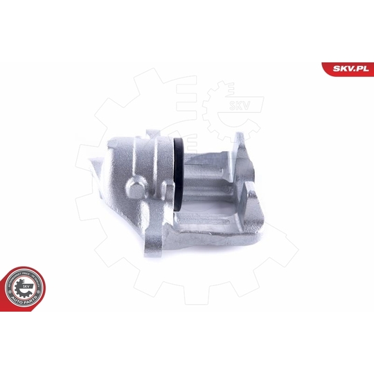 55SKV142 - Brake Caliper 