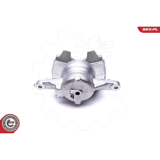 46SKV962 - Brake Caliper 