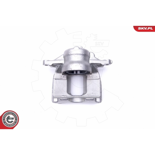 46SKV962 - Brake Caliper 