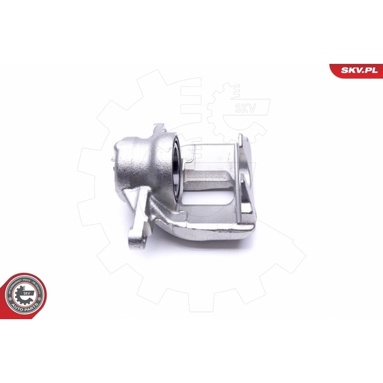 46SKV962 - Brake Caliper 