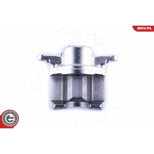 55SKV241 - Brake Caliper 