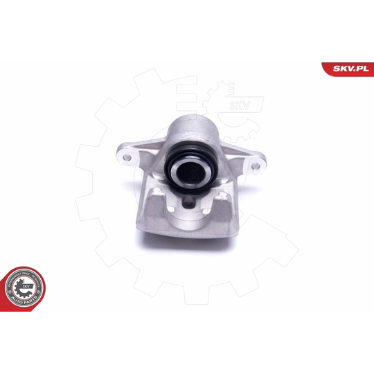 55SKV453 - Brake Caliper 