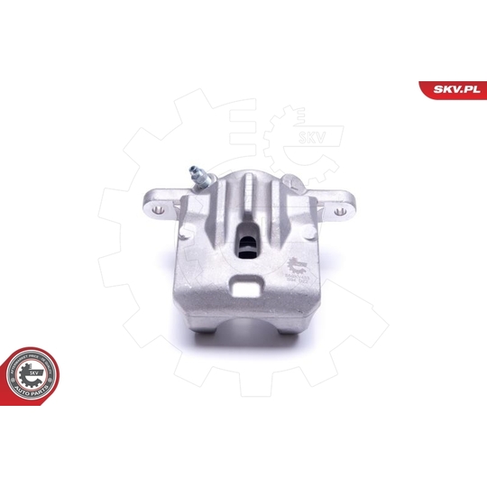 55SKV453 - Brake Caliper 