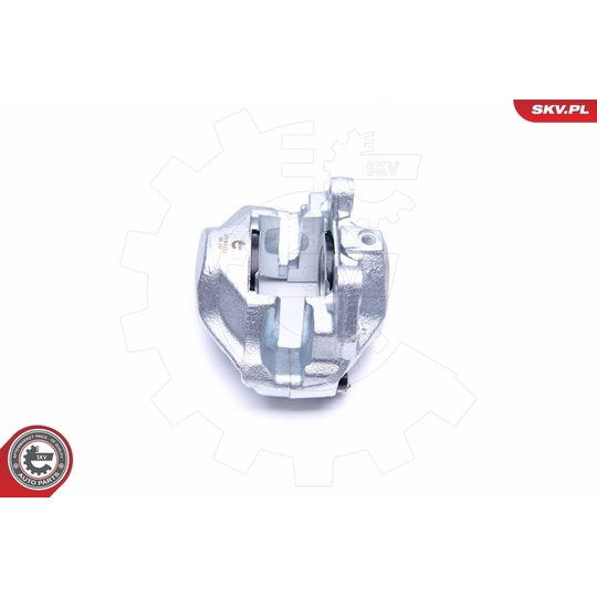 45SKV252 - Brake Caliper 