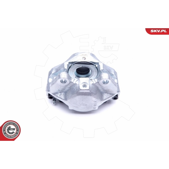 45SKV252 - Brake Caliper 