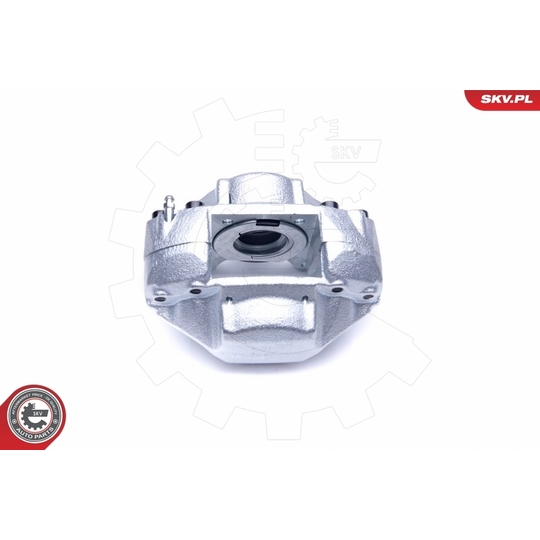 45SKV252 - Brake Caliper 