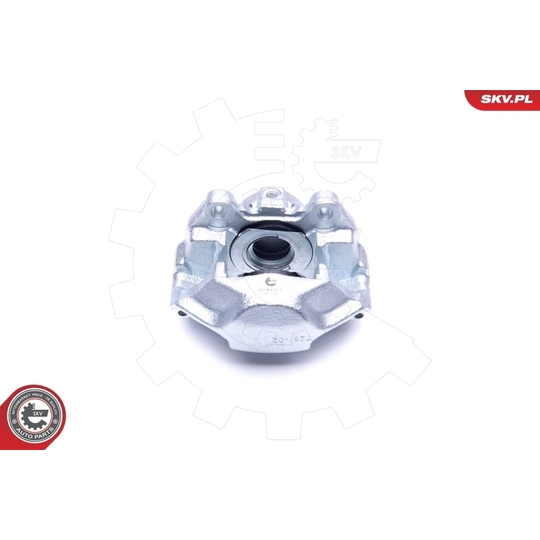 45SKV252 - Brake Caliper 