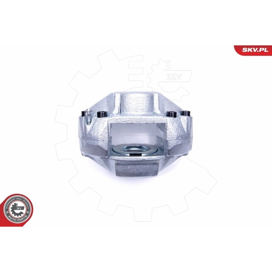 45SKV252 - Brake Caliper 