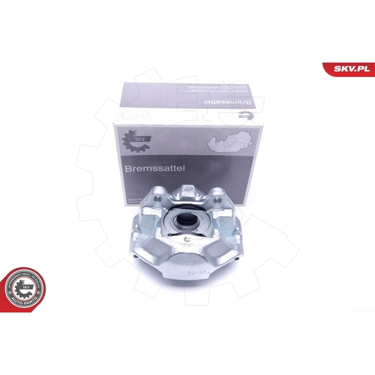 45SKV252 - Brake Caliper 