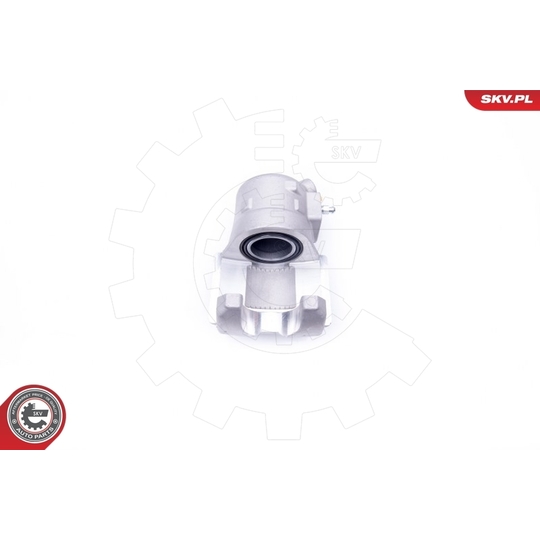 42SKV672 - Brake Caliper 