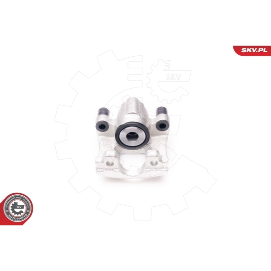 34SKV294 - Brake Caliper 