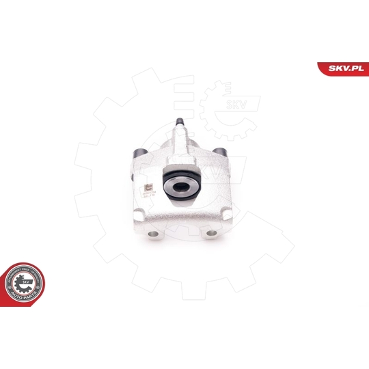 34SKV294 - Brake Caliper 