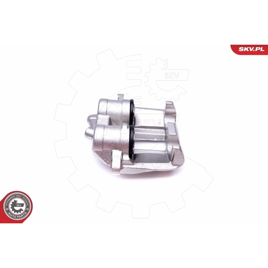 50SKV173 - Brake Caliper 