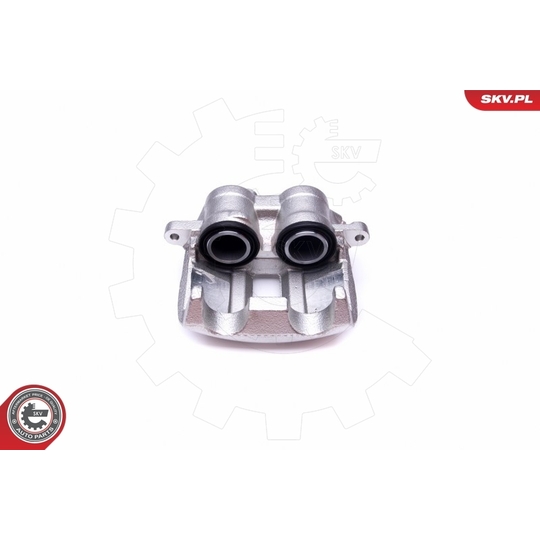 50SKV173 - Brake Caliper 