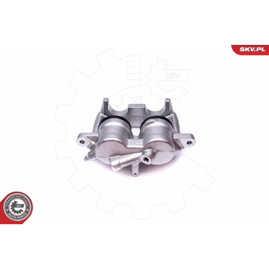 50SKV173 - Brake Caliper 