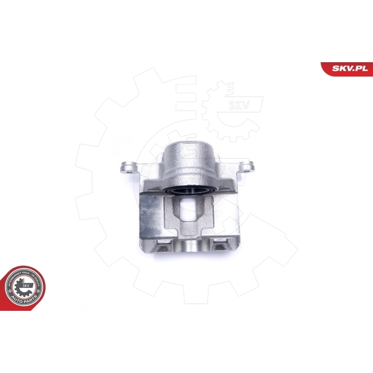 44SKV992 - Brake Caliper 