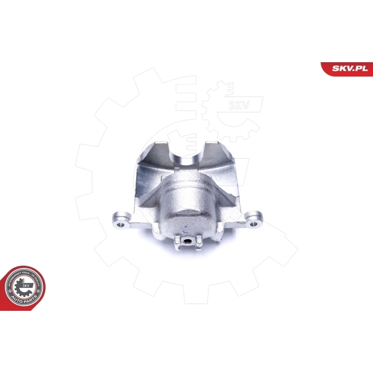 44SKV992 - Brake Caliper 