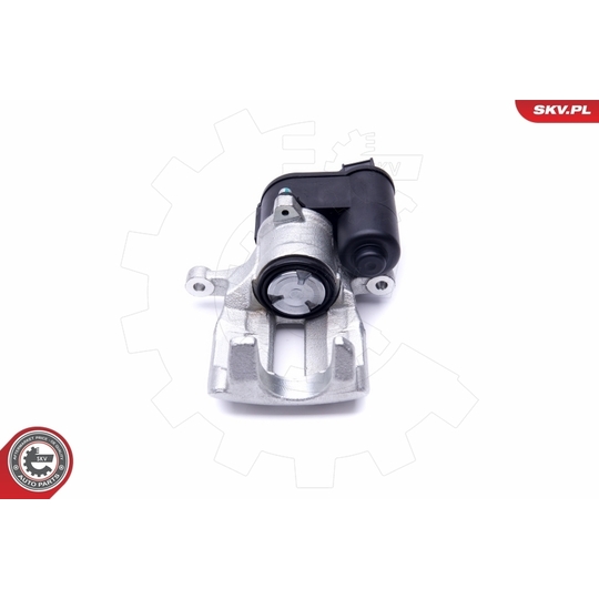 46SKV763 - Brake Caliper 