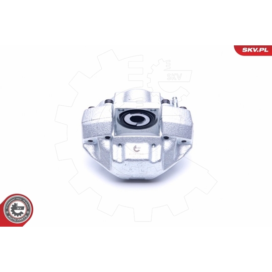 45SKV264 - Brake Caliper 